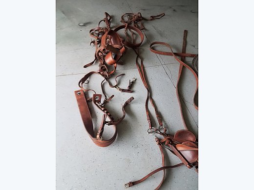 Driving Harness