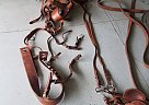 Driving Harness 2017 American Saddlery Horse Saddle in Johnstown, New York