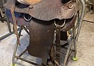 15” Big Horn Trail Saddle 0 Big Horn Horse Saddle in Stephenville, Texas