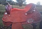 Western Show Saddle 2017 American Saddlery Horse Saddle in Eutaw, Alabama