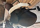Corelli English Saddle 2010 Borelli Horse Saddle in Punta Gorda, Florida