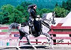 0  Horse Saddle in Ephrata, Pennsylvania