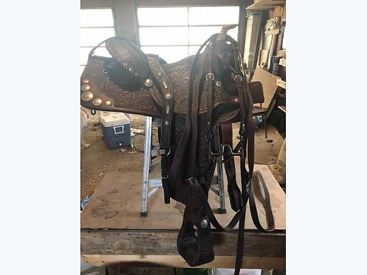 Very Nice Saddle!