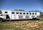 Aluminum 6 Horse Aluminum 6 Horse