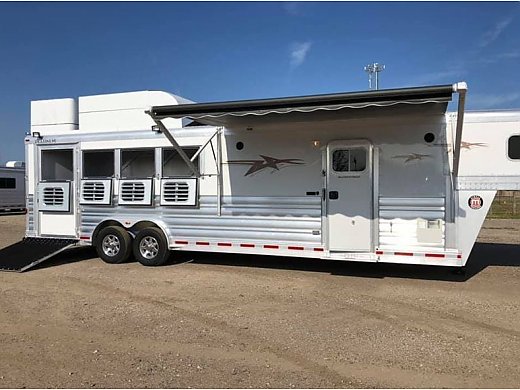 Platinum Coach Outlaw 4 Horse