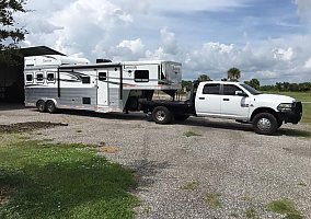 2017 Lakota Bighorn 2017 Lakota Horse Trailer in Fellsmere, Florida