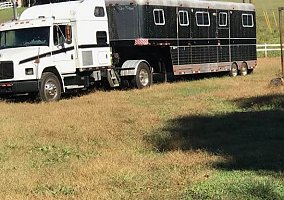 1996 Bellamy 9 Horse 1996 Other Horse Trailer in Greer, South Carolina