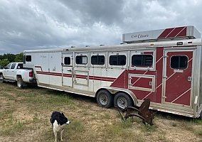 1996 Cato 5h 1996 Other Horse Trailer in Seminole, Oklahoma